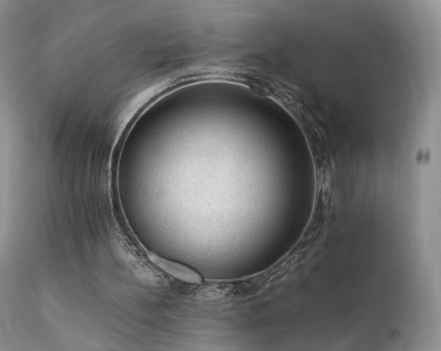 X0000112110148200908111450