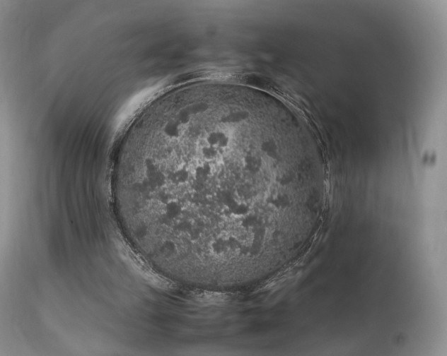 X0000112110149200908111450