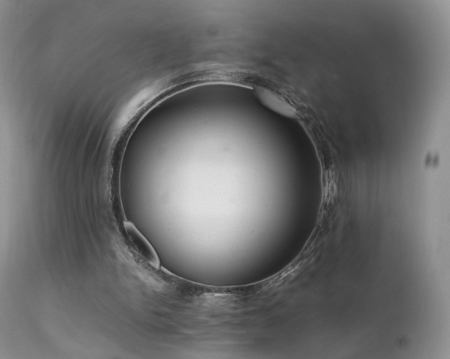 X0000112110150200908111450