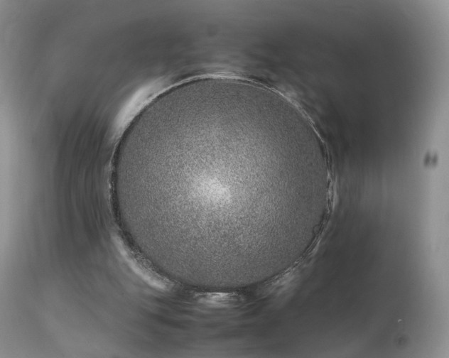 X0000112110151200908111450