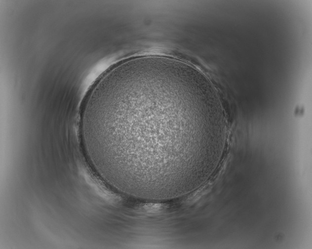 X0000112110152200908111450