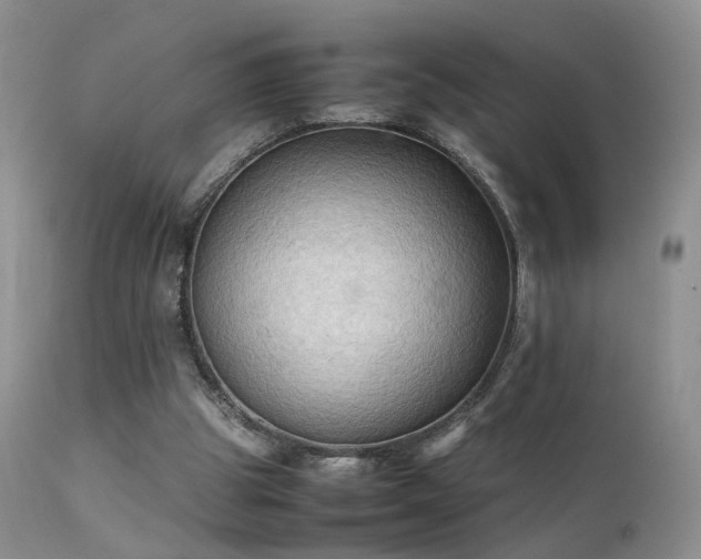 X0000112110153200908111450