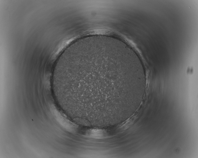 X0000112110154200908111450