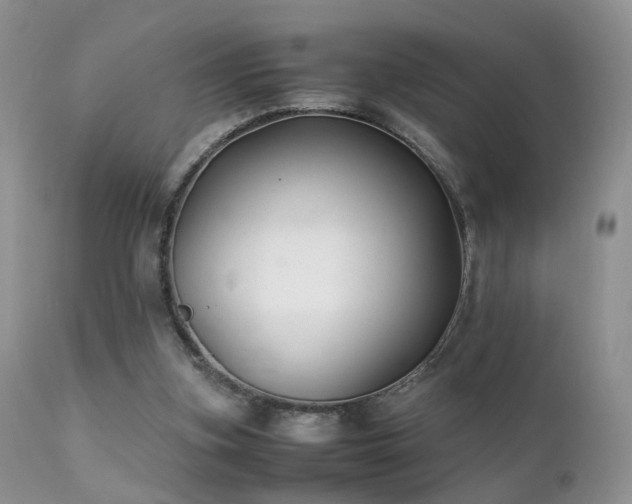 X0000112110155200908111450