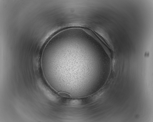 X0000112110156200908111450