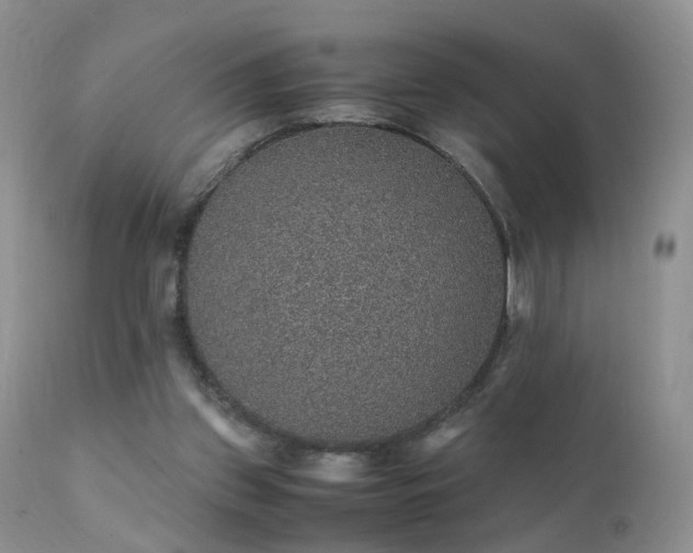 X0000112110157200908111450