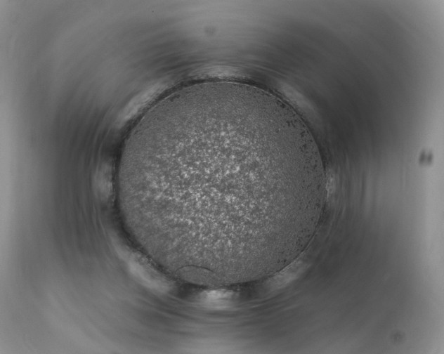 X0000112110158200908111450