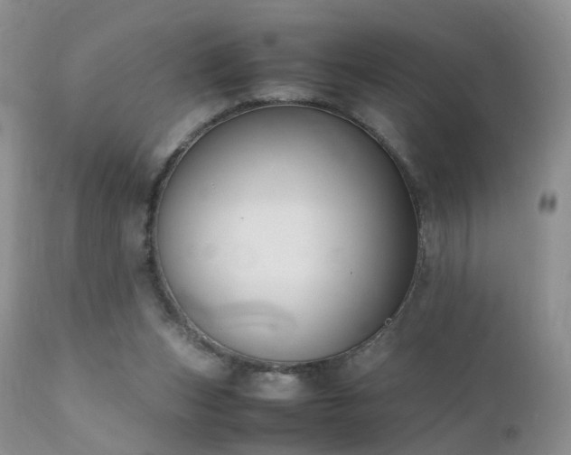 X0000112110159200908111450