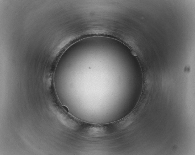 X0000112110160200908111450