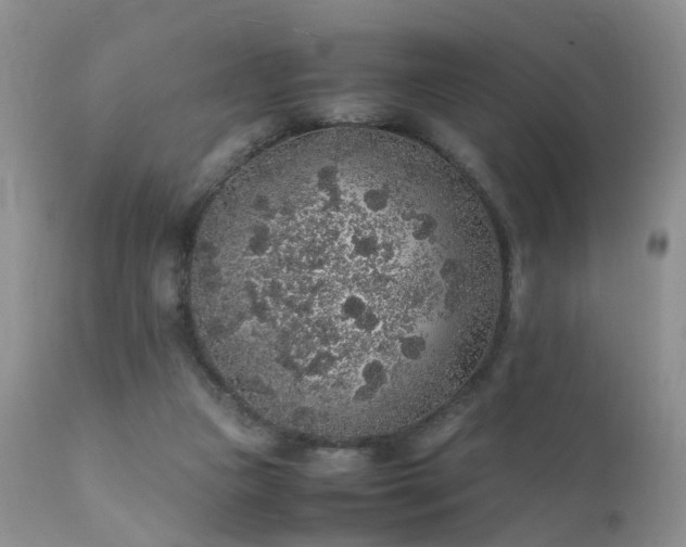 X0000112110161200908111450