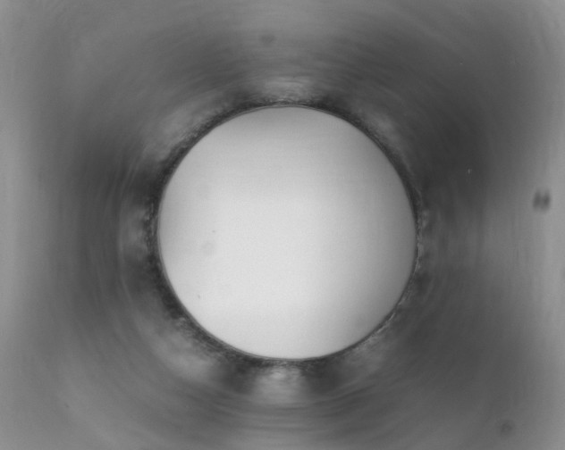 X0000112110162200908111450