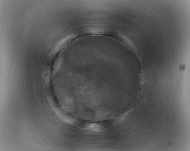 X0000112110163200908111450