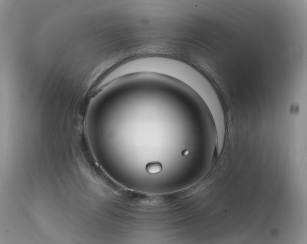 X0000112110164200908111451