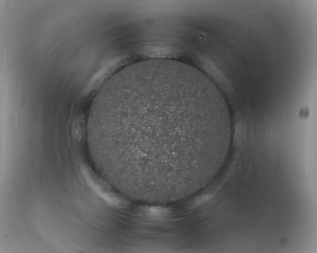 X0000112110165200908111451