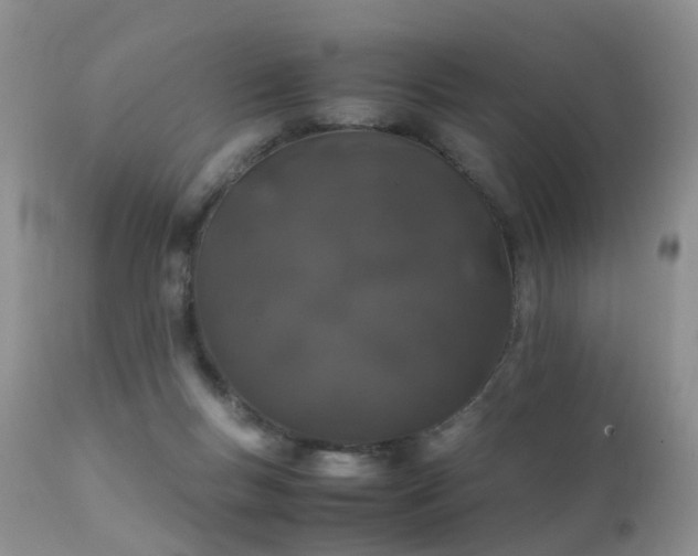 X0000112110167200908111451