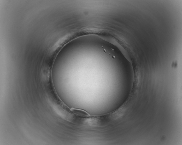 X0000112110168200908111451