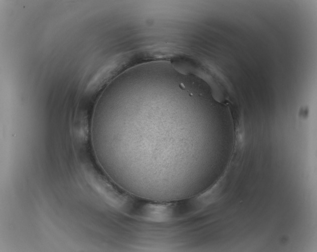 X0000112110170200908111451