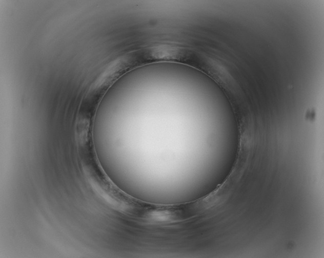 X0000112110171200908111451