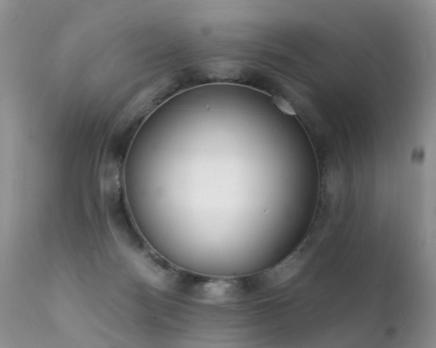 X0000112110172200908111451