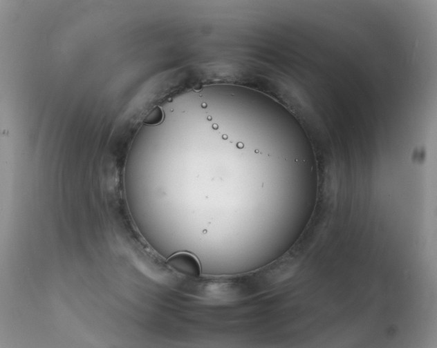 X0000112110173200908111451