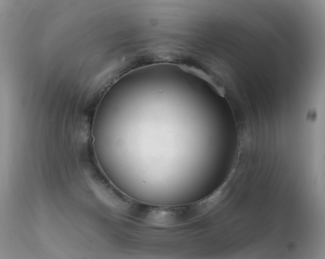 X0000112110174200908111451