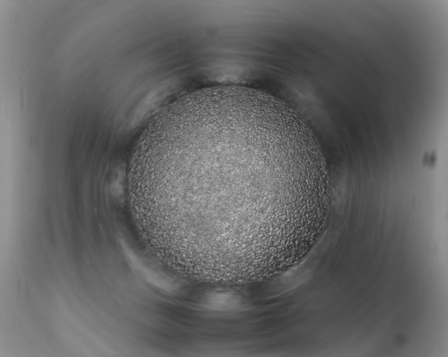 X0000112110175200908111451