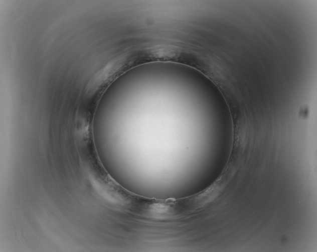 X0000112110176200908111451