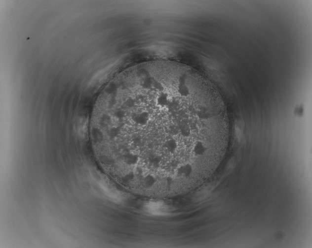 X0000112110177200908111451