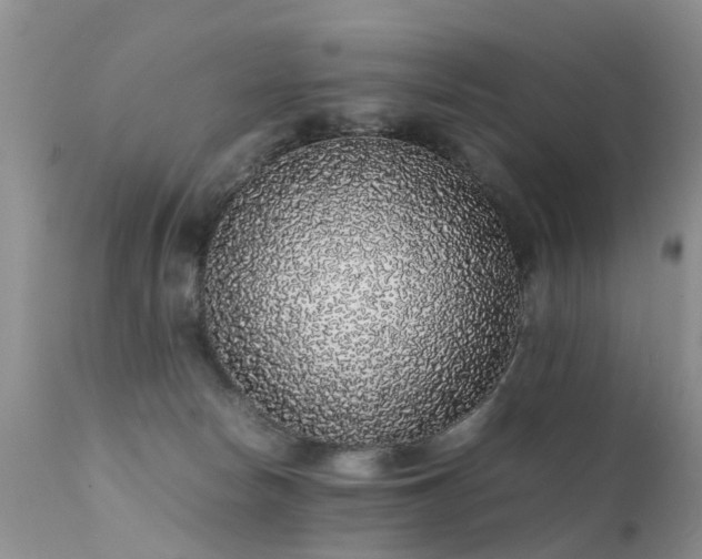 X0000112110178200908111451