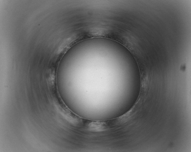 X0000112110179200908111451