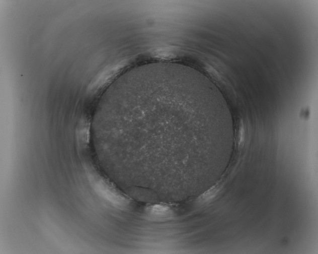 X0000112110180200908111451