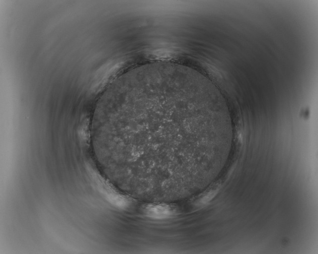 X0000112110181200908111451