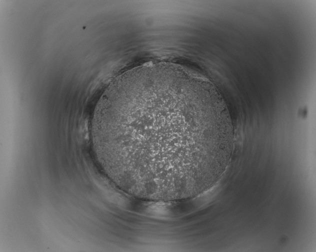 X0000112110182200908111451