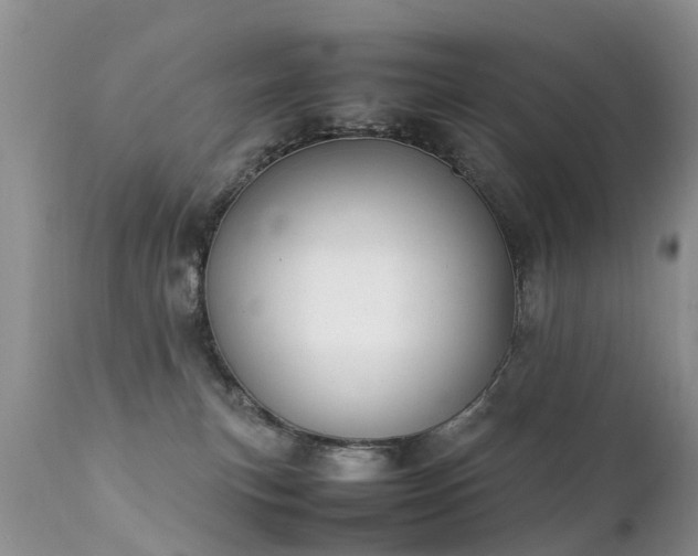 X0000112110183200908111451