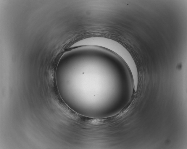 X0000112110184200908111451