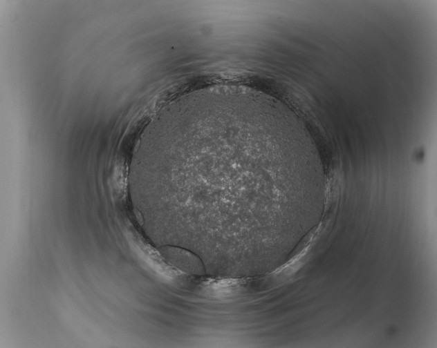 X0000112110186200908111451