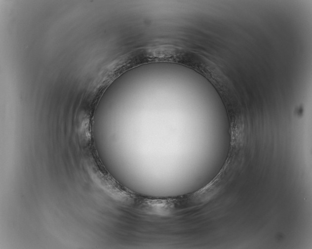 X0000112110187200908111451