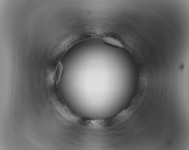 X0000112110188200908111451