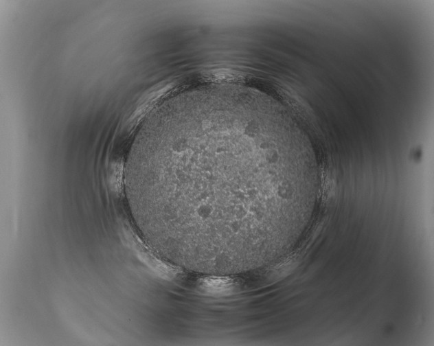 X0000112110189200908111451