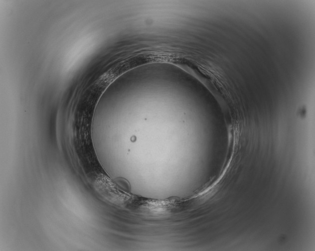 X0000112110190200908111451