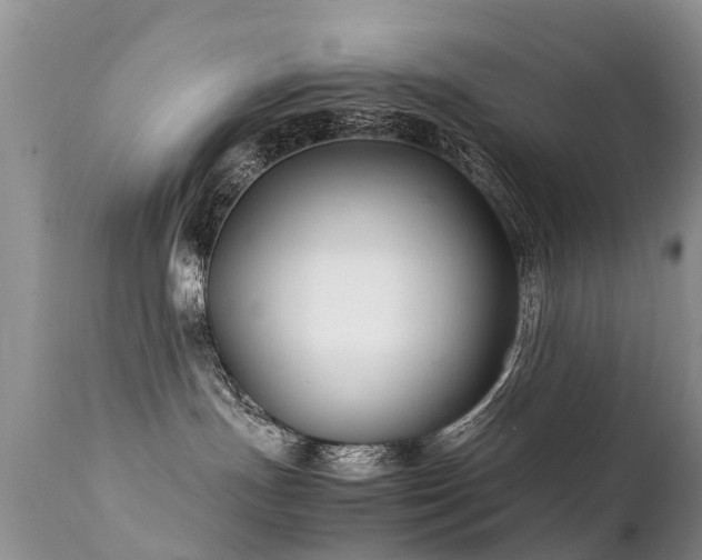 X0000112110191200908111451