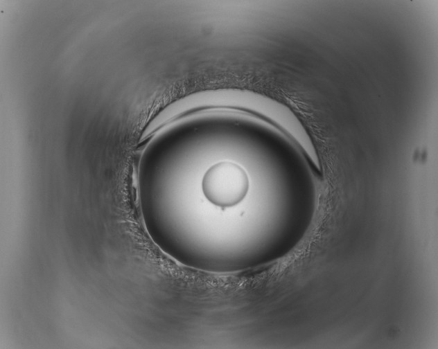 X0000112110192200908111451