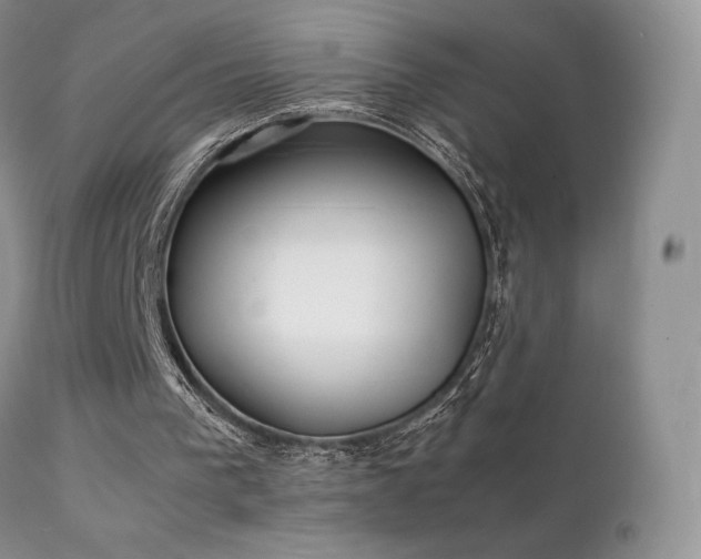 X0000112110193200908111450