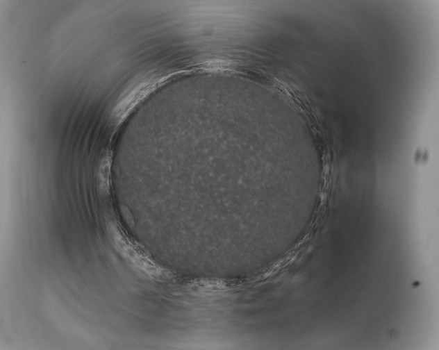 X0000112110194200908111450