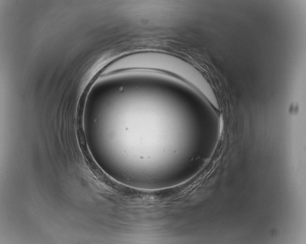 X0000112110195200908111450