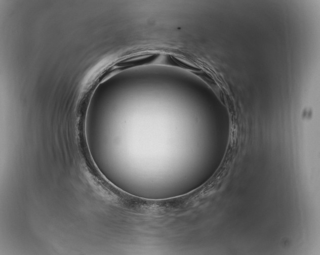 X0000112110197200908111450