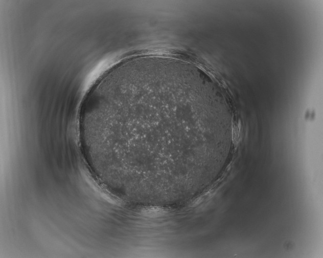 X0000112110198200908111450