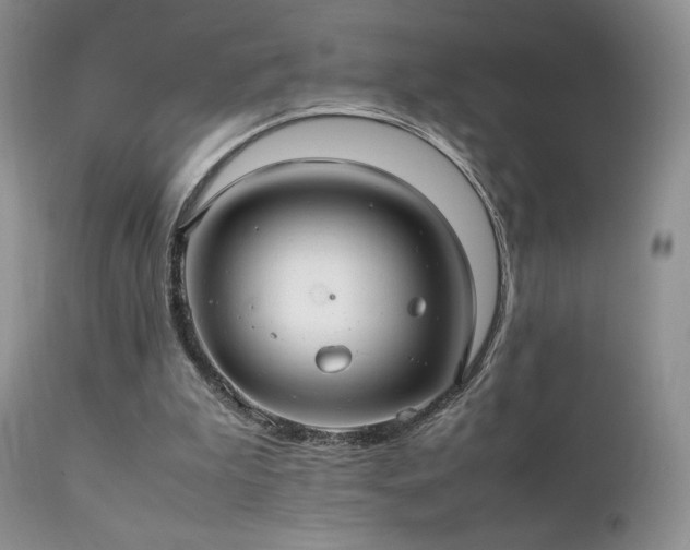 X0000112110199200908111450