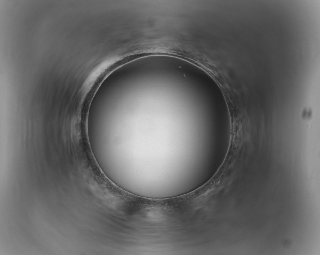 X0000112110200200908111450