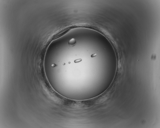 X0000112110201200908111450